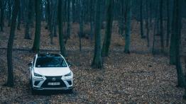 Lexus NX 300 – poza asfaltem