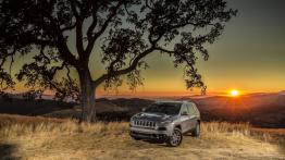 Jeep Cherokee KL (2014) Limited - widok z przodu