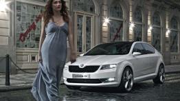 Skoda VisionD Concept - widok z przodu