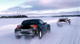 Smart Roadster - widok z tyłu