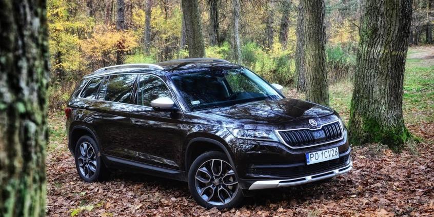 Skoda Kodiaq Scout – zwykły jest zbyt „pospolity”?