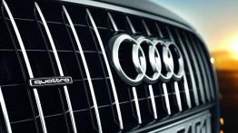 Audi Q5 Facelifting - logo