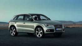 Audi Q5 Facelifting - prawy bok