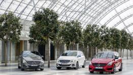 Mercedes B 220 CDI 4MATIC (W 246) Facelifting - widok z przodu