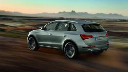 Audi Q5 Facelifting - lewy bok