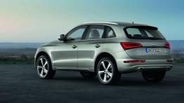 Audi Q5 Facelifting - lewy bok