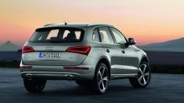 Audi Q5 Facelifting - widok z tyłu