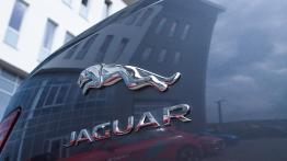 Nowy Jaguar I-Pace – Kot zapolował na Muska