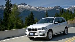 BMW X5 III (2014) xDrive50i - wersja amerykańska - widok z przodu