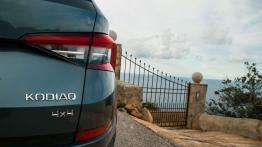 Skoda Kodiaq – miś o niemałym rozumku