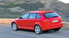 Audi A3 1.8 TFSI - widok z tyłu