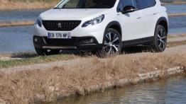 Peugeot 2008 – Drobne poprawki