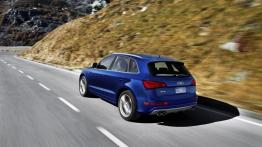 Audi SQ5 TFSI - widok z tyłu