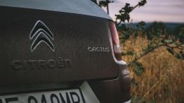 Citroen C4 Cactus Rip Curl - samochód na fali
