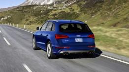 Audi SQ5 TFSI - widok z tyłu