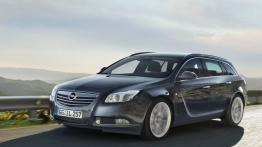 Opel Insignia Kombi - widok z przodu