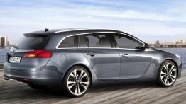 Opel Insignia Kombi - widok z tyłu