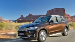 BMW X5 III (2014) xDrive50i - lewy bok