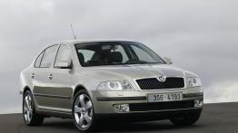 Skoda Octavia II - widok z przodu