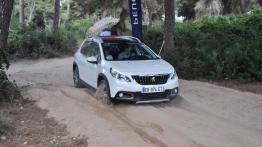 Peugeot 2008 – Drobne poprawki