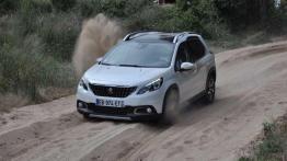 Peugeot 2008 – Drobne poprawki