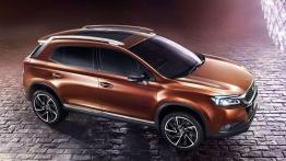 Citroen DS 6WR - nowy SUV tylko dla Chin