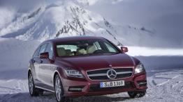 Mercedes CLS 500 Shooting Brake 4MATIC - widok z przodu