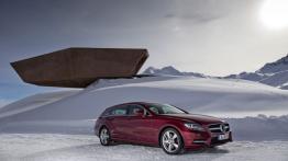 Mercedes CLS 500 Shooting Brake 4MATIC - prawy bok