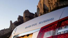 Mercedes E 300 BlueTEC HYBRID - emblemat