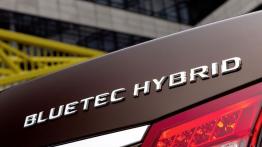 Mercedes E 300 BlueTEC HYBRID - emblemat