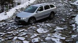 Skoda Octavia Scout w terenie