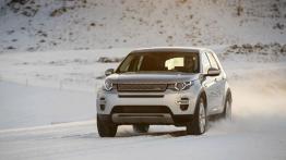 Land Rover Discovery Sport na Islandii - widok z przodu