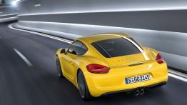 Porsche Cayman II - widok z tyłu