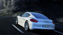 Porsche Cayman II - widok z tyłu