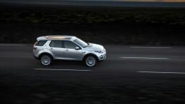 Land Rover Discovery Sport na Islandii - widok z góry