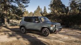 Jeep Renegade - zyskuje przy bliższym poznaniu?