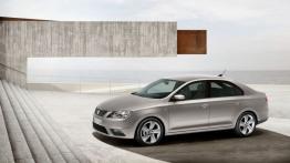 Seat Toledo IV - lewy bok