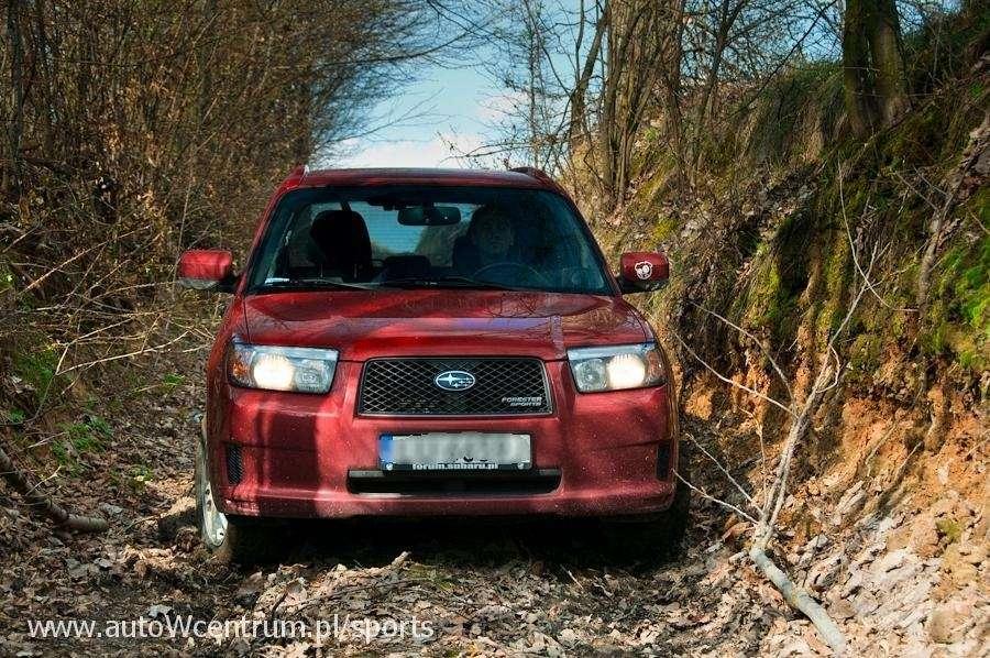 Niezniszczalny leśnik Subaru Forester (20022008