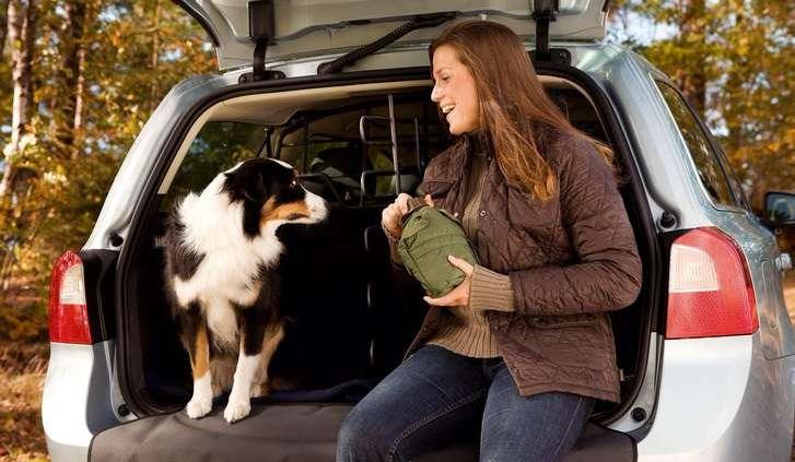 Jak bezpiecznie podróżować samochodem z psem • AutoCentrum.pl