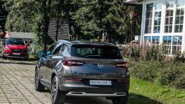 Opel Grandland X – kolejny „X” do kolekcji