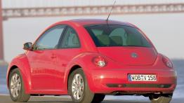 Volkswagen New Beetle Hatchback - widok z tyłu