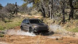 Jeep Cherokee KL (2014) Trailhawk - widok z przodu