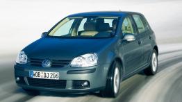 Volkswagen Golf V 4-Motion - widok z przodu