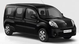 Renault Grand Kangoo - widok z przodu