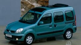 Renault Kangoo - lewy bok