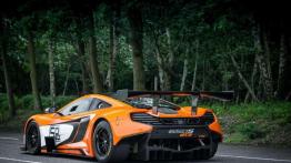 McLaren 650S GT3 debiutuje na Goodwood