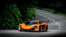 McLaren 650S GT3 debiutuje na Goodwood