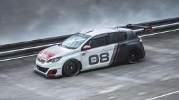 Peugeot 308 Racing Cup - stworzony do wyścigów