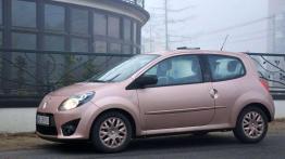 Renault Twingo - SPA-ce Shuttle