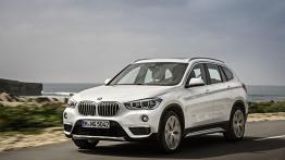 BMW X1 nic nie powstrzyma. Przejechało jak czołg!